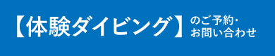 体験ダイビングのご予約・お問い合わせはこちら！