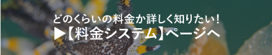 とにかく一回体験してみたい！ 体験ダイビング ページヘ