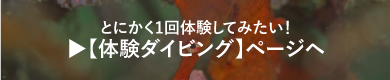 とにかく一回体験してみたい！ 体験ダイビング ページヘ