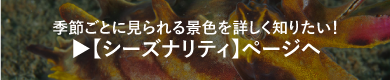 季節ごとに見られる景色を詳しく知りたい！ シーズナリティ ページヘ